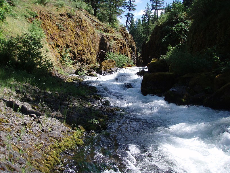 Dreamflows Guide South Fork Rogue